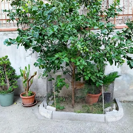 Lägenhet Quiet House In Volla (Naples)